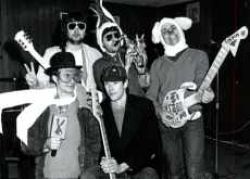 rabbits